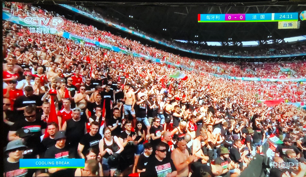 关于场面火爆！欧洲杯观众席沸腾不已的信息