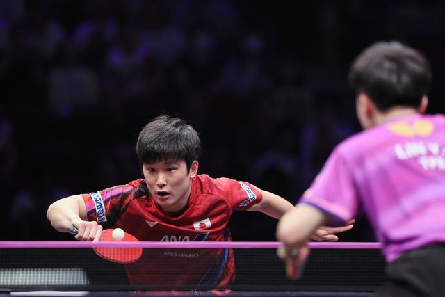 关于法国队力克韩国队,张本智和状态火热的信息 关于法国队力克韩国队,张本智和状态火热的信息