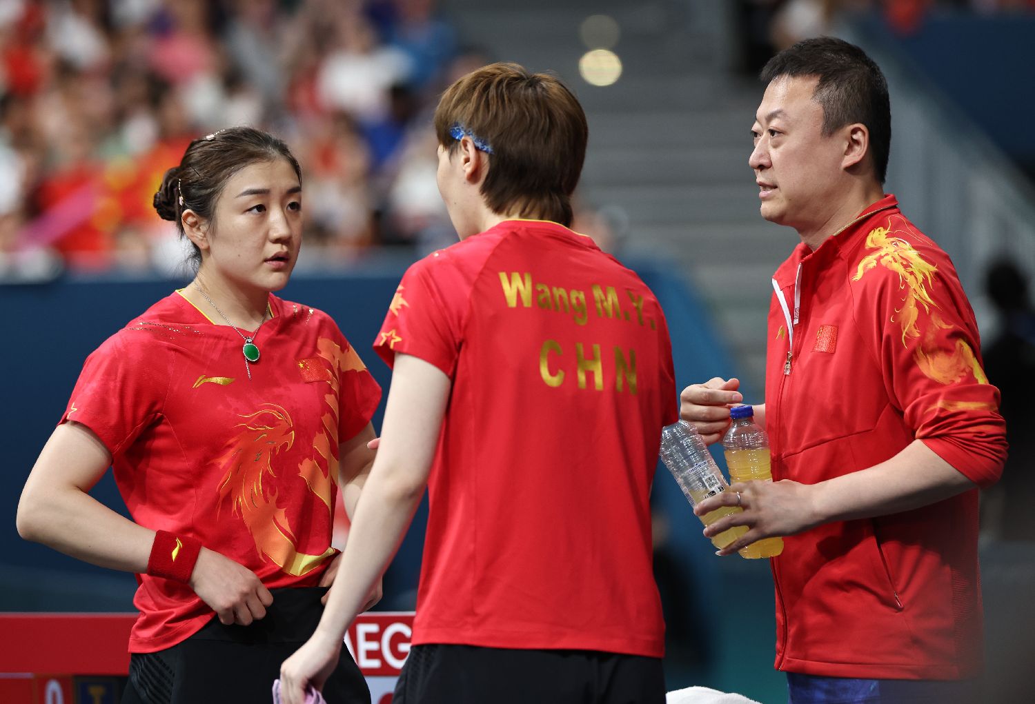 法国队轻取中国队,马琳统治全场 法国队轻取中国队,马琳统治全场