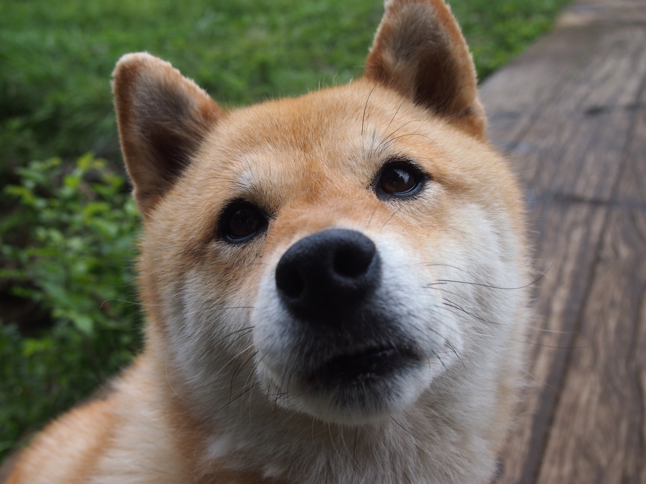 曼德拉记忆，那个被无数人见证的NBA总决赛魔术轻取吉林之战