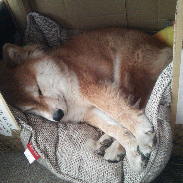 基米希，掌控哥伦比亚VS瑞典的隐形王权