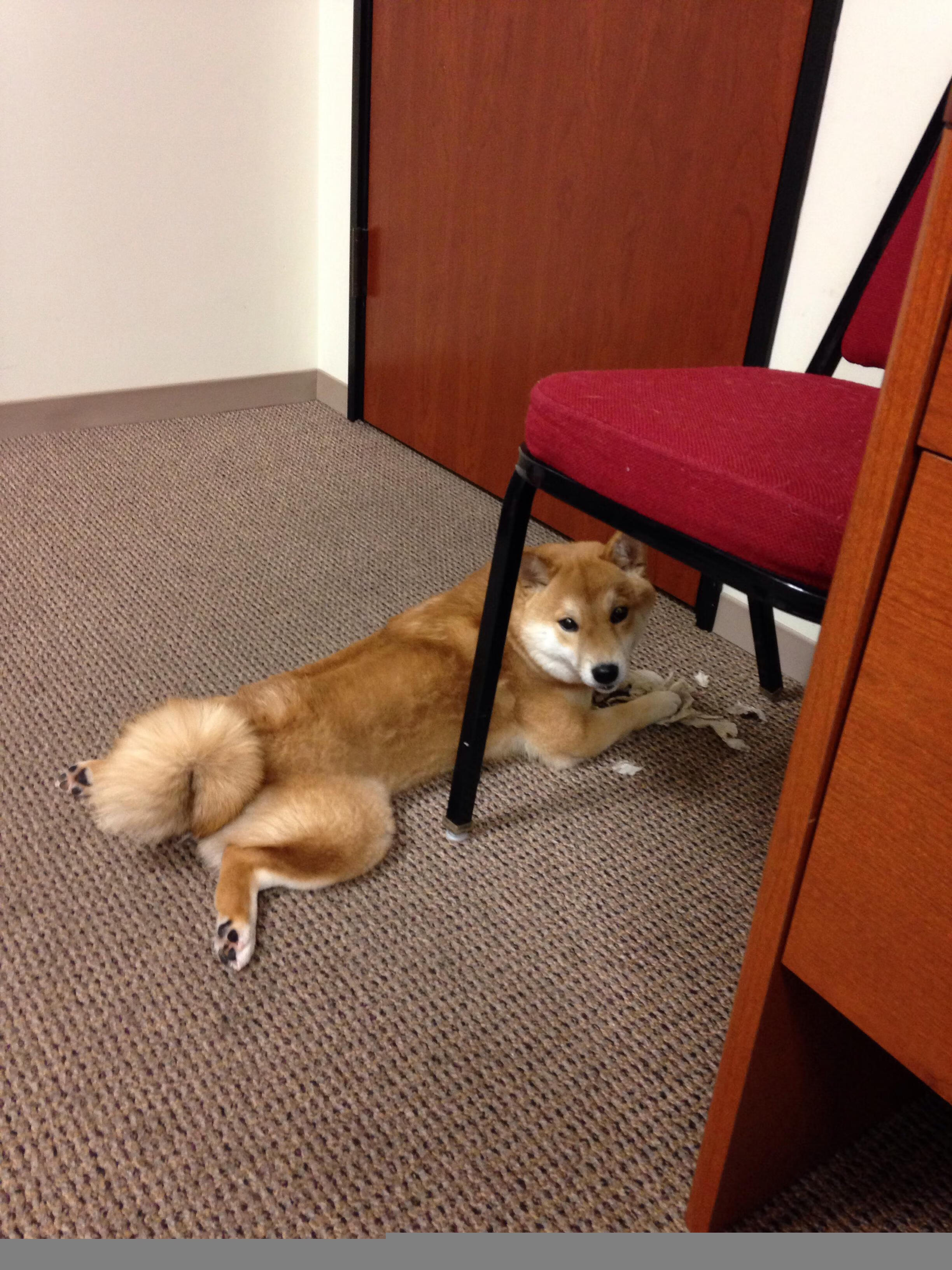 16秒奇迹，当湖人颠覆王朝的序曲响起