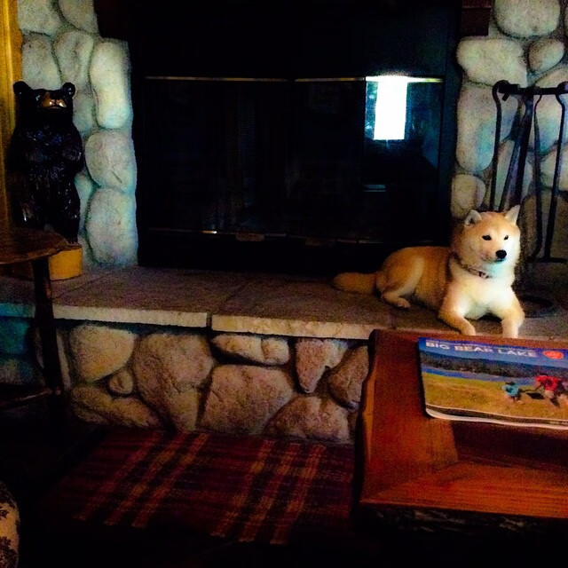 双重狂野，森林狼加时险胜国王之夜，范弗利特在世界排名争夺战接管比赛