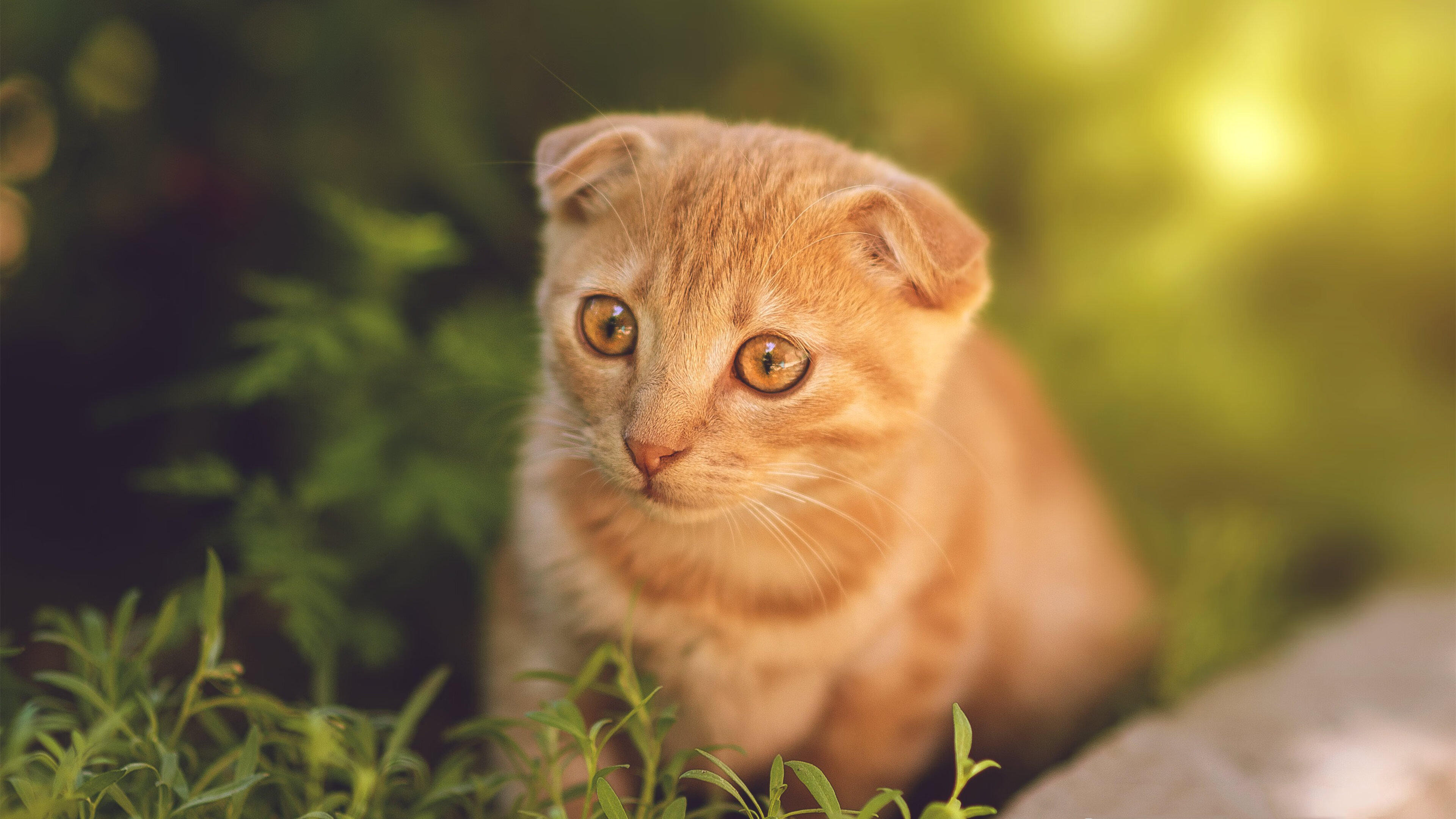 冰山之下，当狂野成为背景，稳定本身即是爆炸力