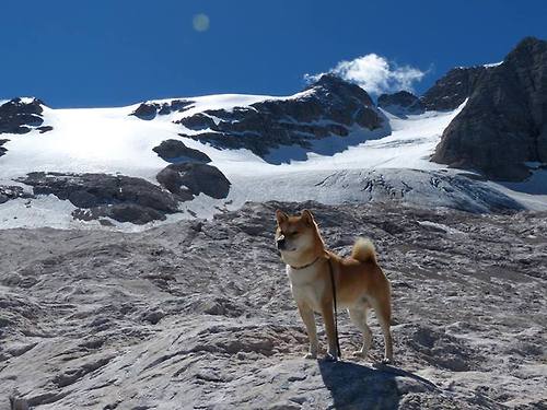 南美莱万觉醒!补时绝杀,秘鲁末节神奇带走洪都拉斯