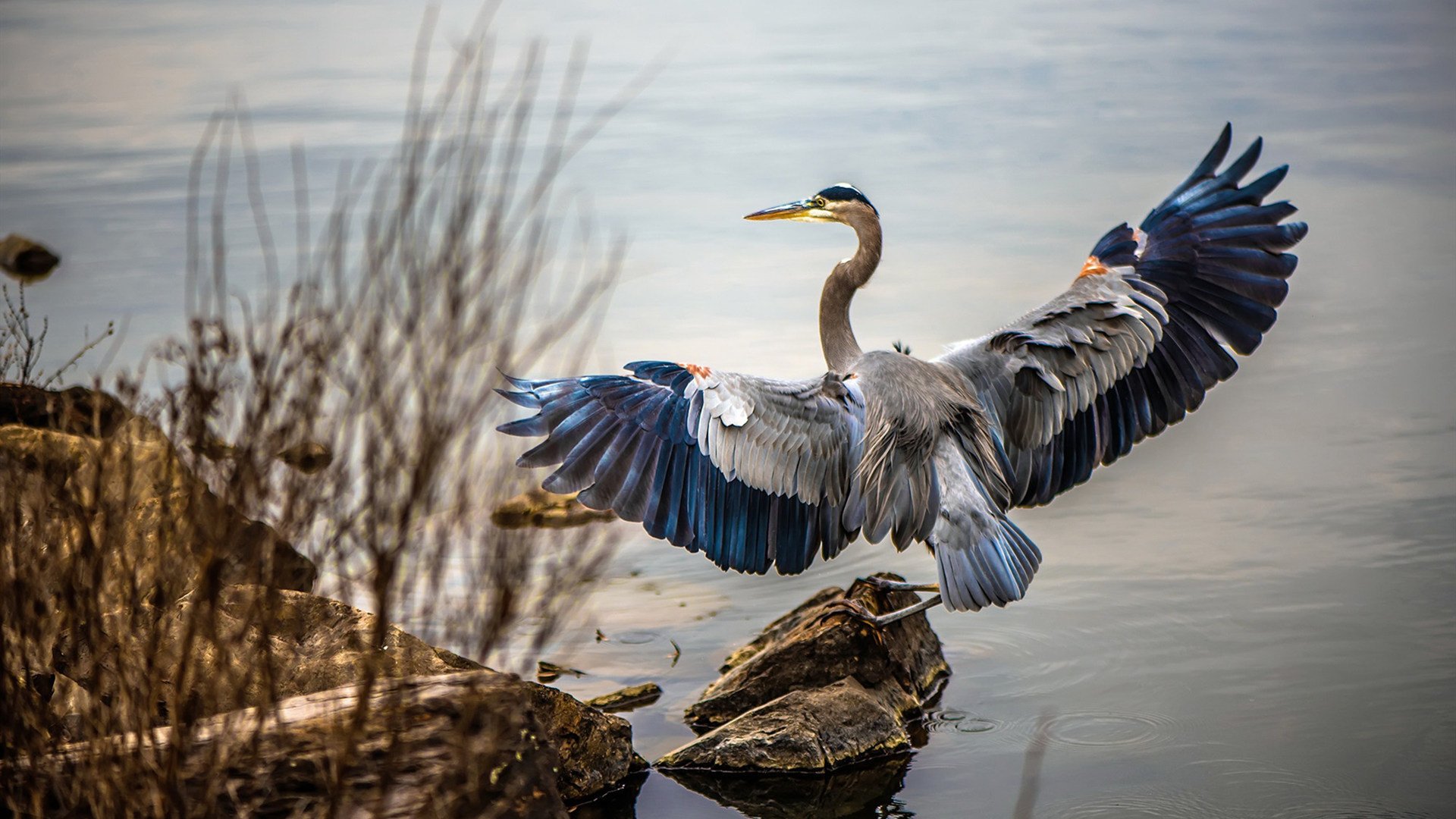 英超争冠之夜,爱德华兹独造四球制霸伊蒂哈德