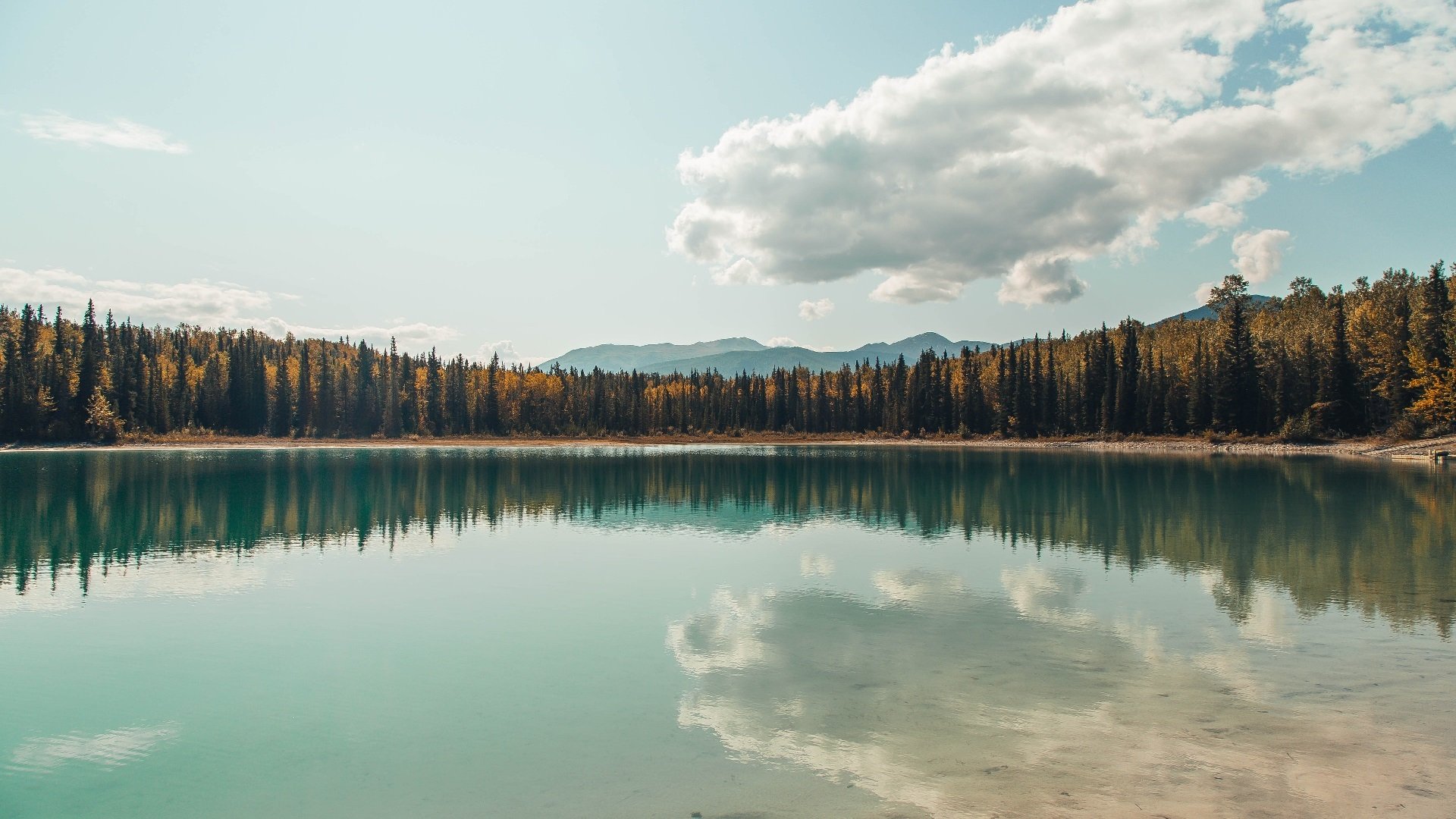 唯一性,步行者斩落灰熊,福克斯如何定义年度焦点之战