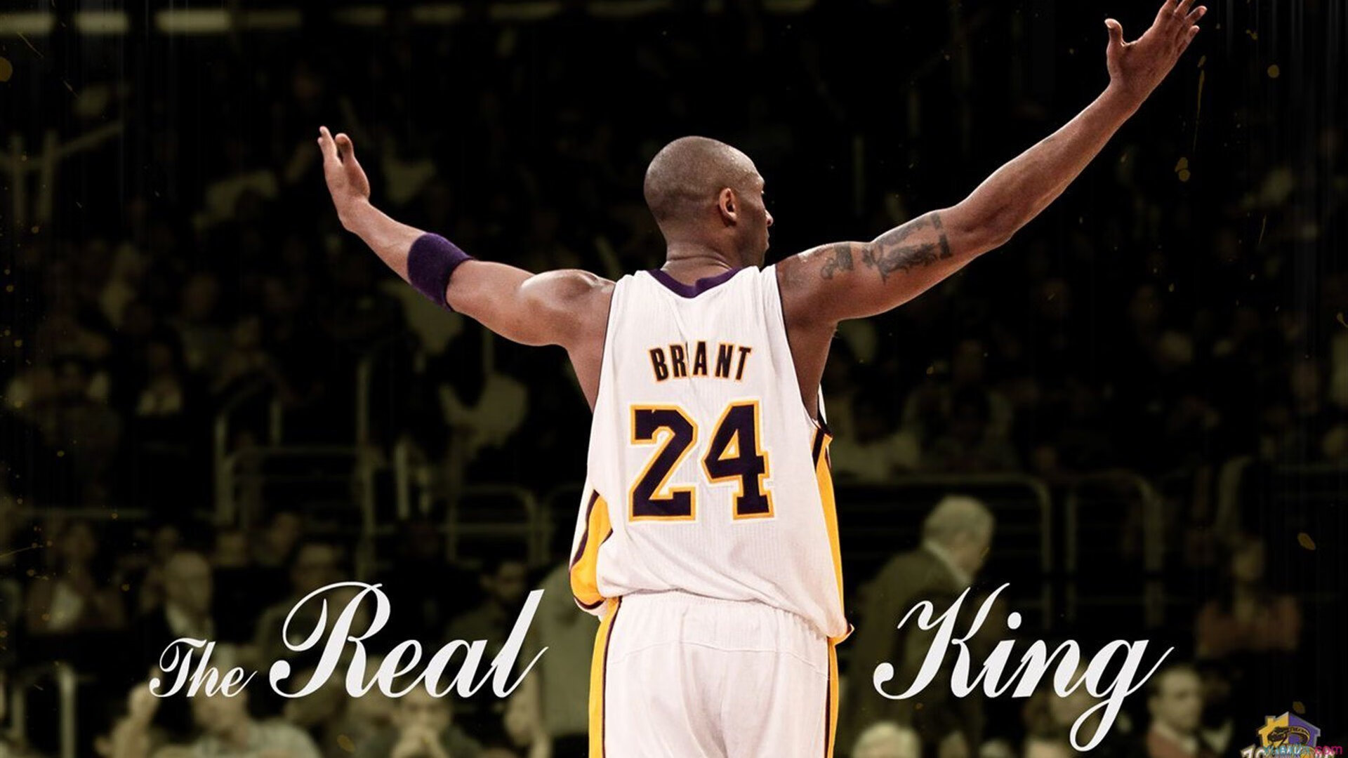 异次元直播间，当欧文遇上太极推手，活塞一掀惊天下