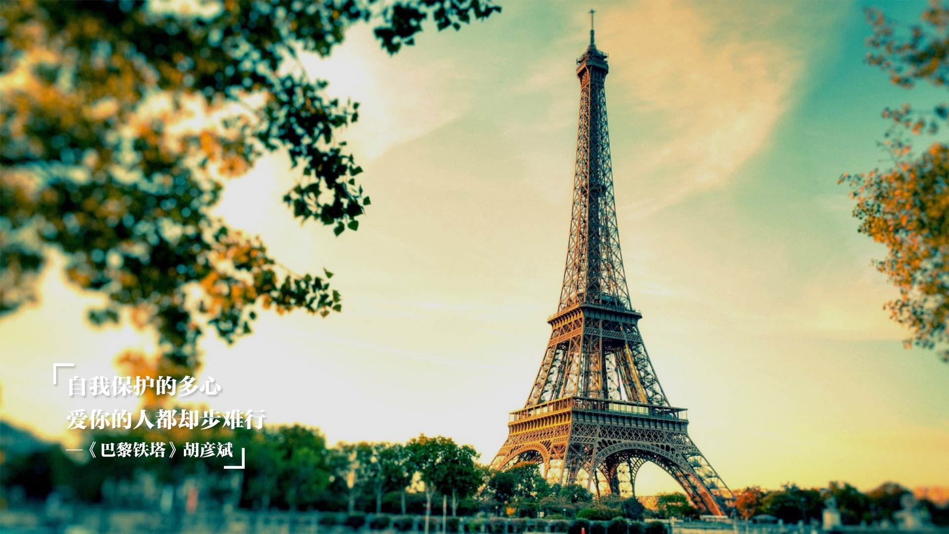 勇士胜浙江成时空裂缝，范弗利特2026年接管世界杯的预言已埋下？