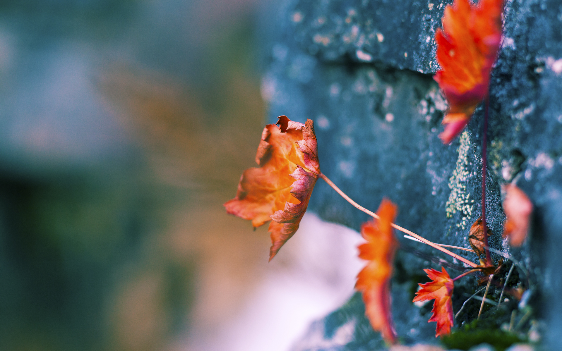 神话对决，亚特兰大用猎人战术围猎星月军团，加维一箭穿心定乾坤