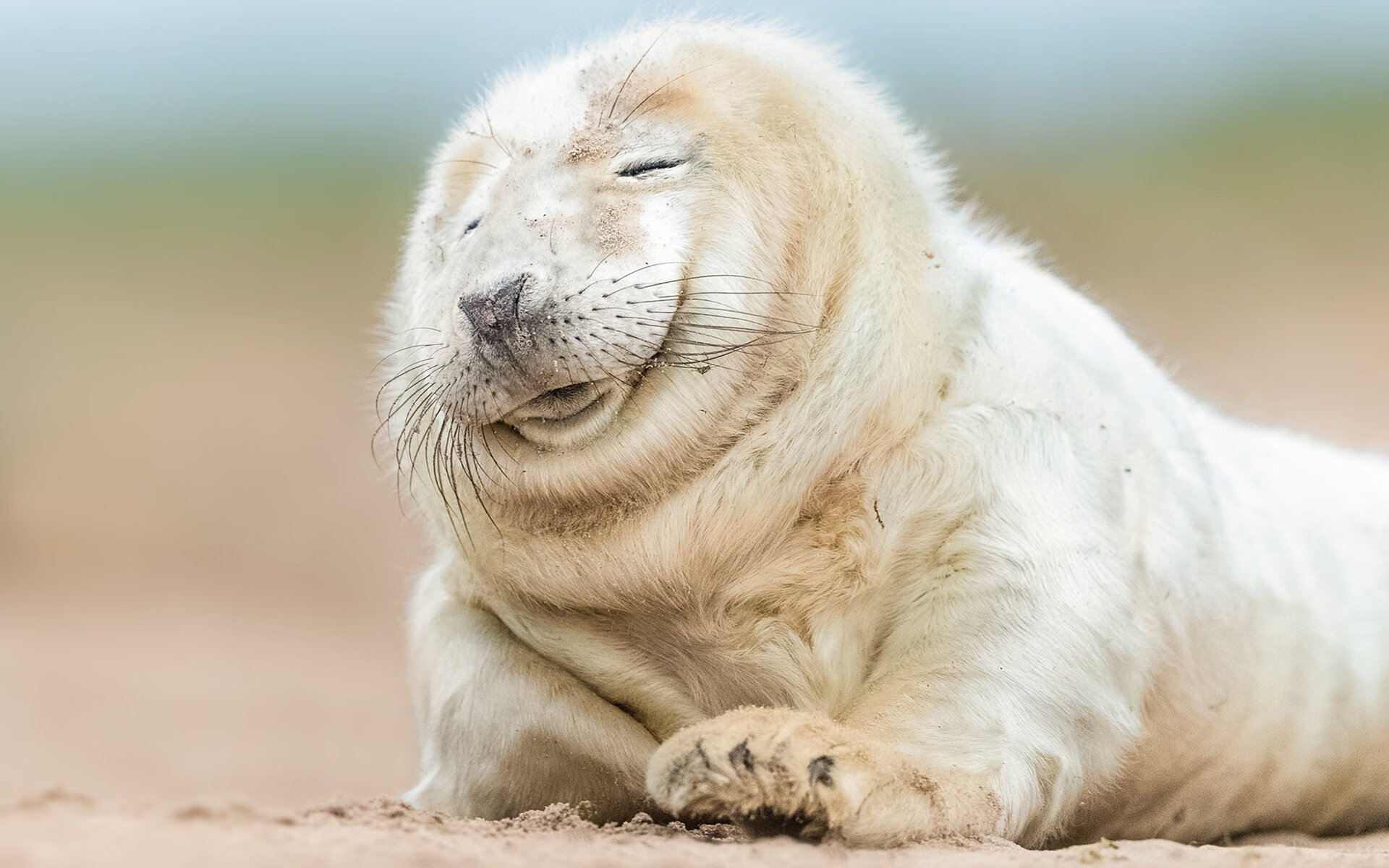 扼杀最后一线光，当老鹰的利爪强行坠日，伦纳德如何成为攻防转换的裁决者