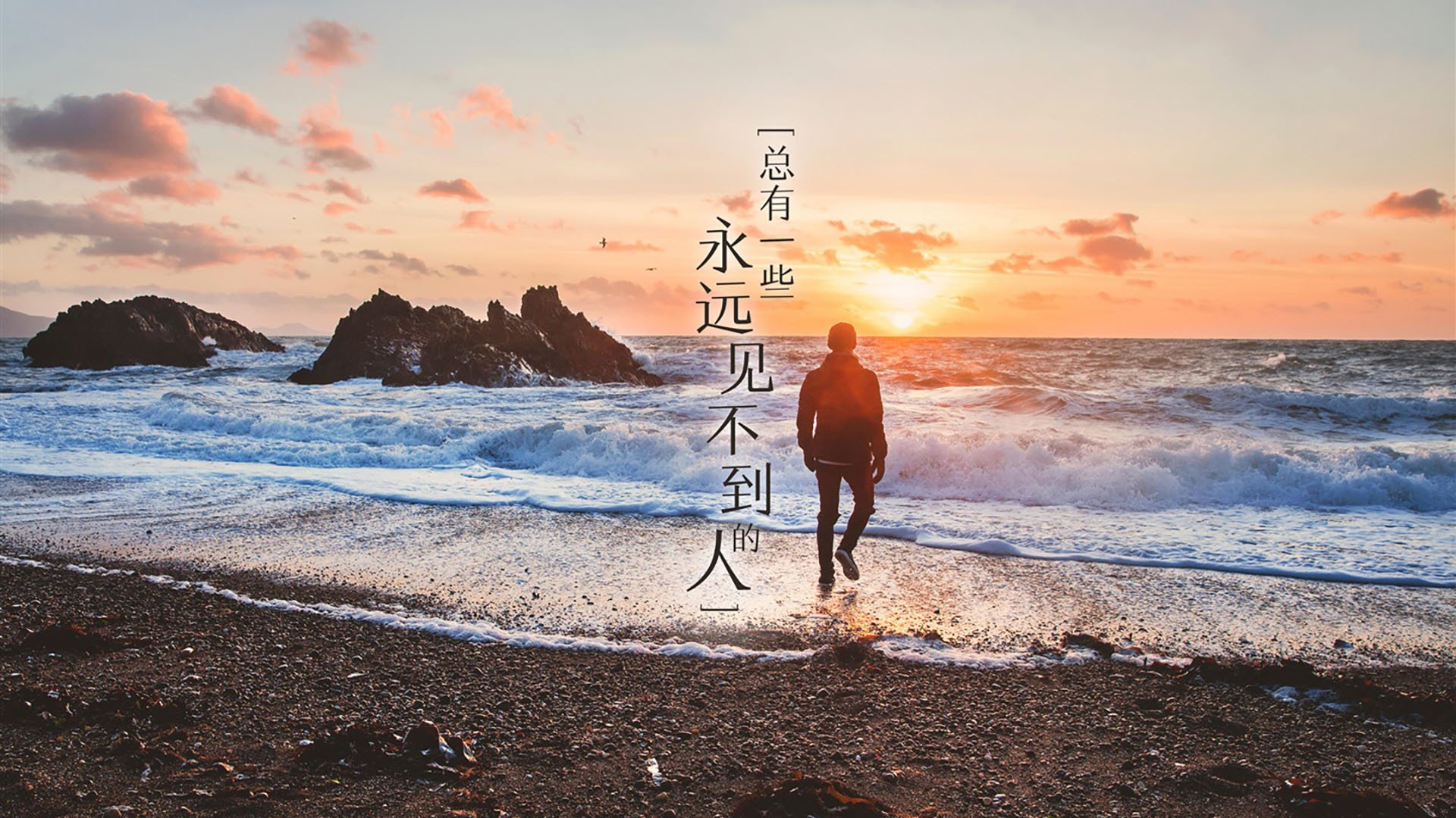 铁闸森严如山，郁金香一剑封喉，当统治级防守定义胜利的唯一性