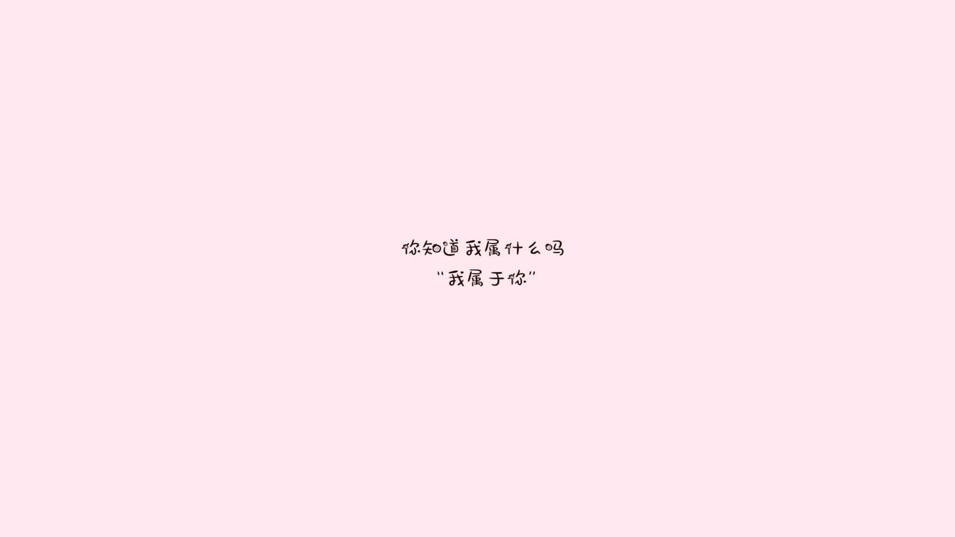 当翼骑兵碾过玫瑰，2026世界杯E组焦点战，波兰横扫保加利亚，孙兴慜却用进攻领袖写下了唯一的剧本