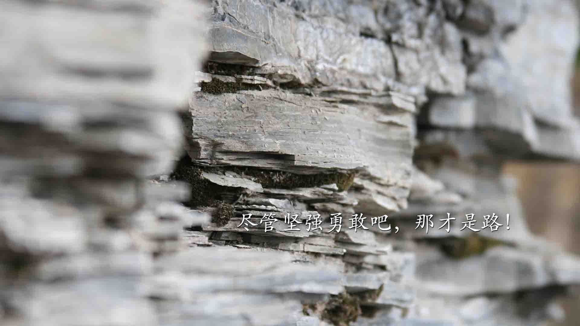 北欧神话的独白，当B费的秒表在补时第7分钟停摆，瑞典为2026世界杯写下唯一剧本